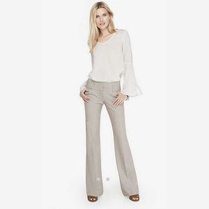 Express Editor Dress Pants